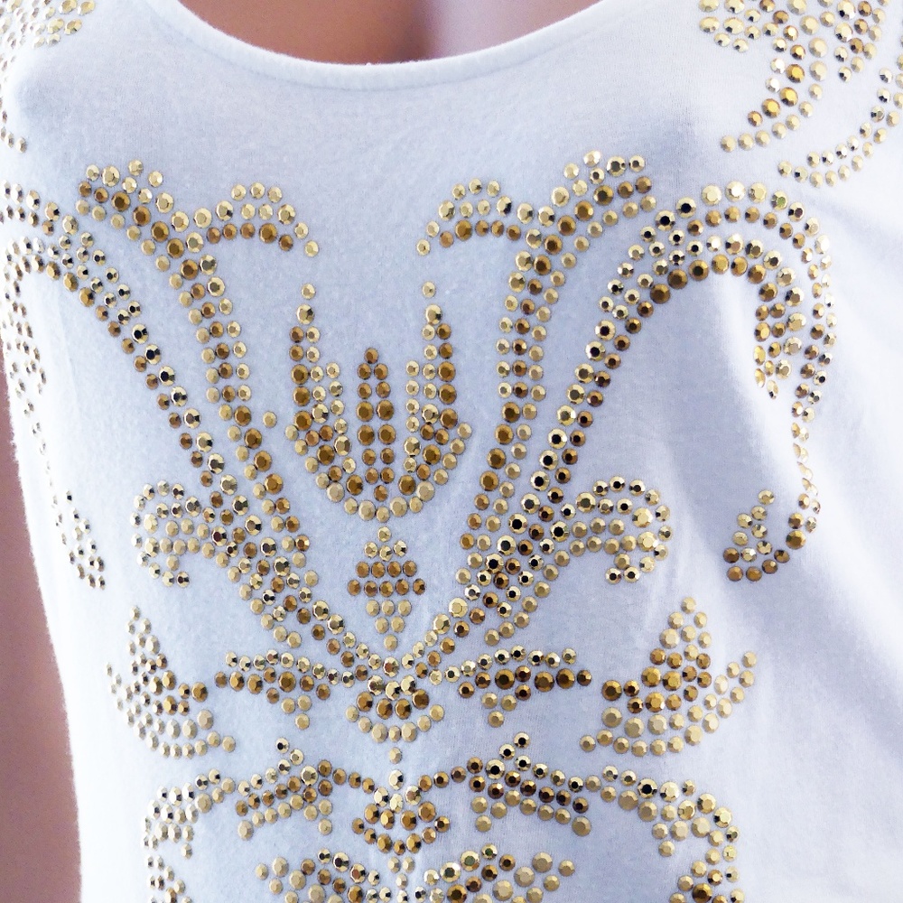 Cashe Sleeveless ladies top.